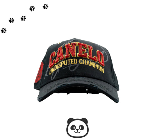 POUND FOR POUND x DANDY