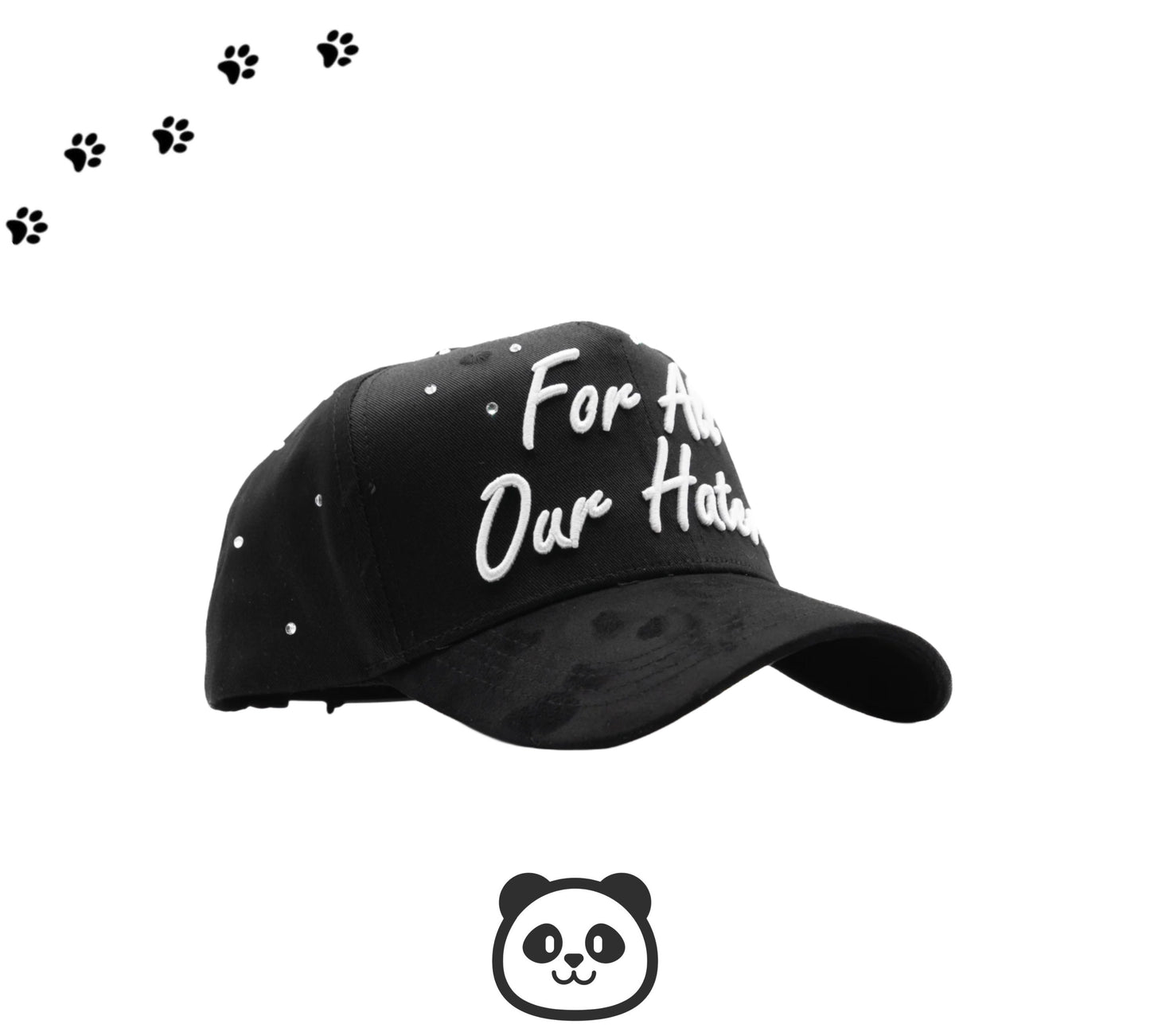 FOR ALL OUR HATERS