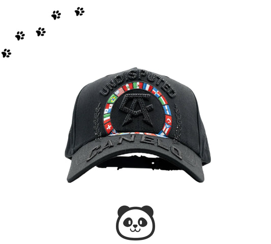 UNDISPUTED CA x DANDY